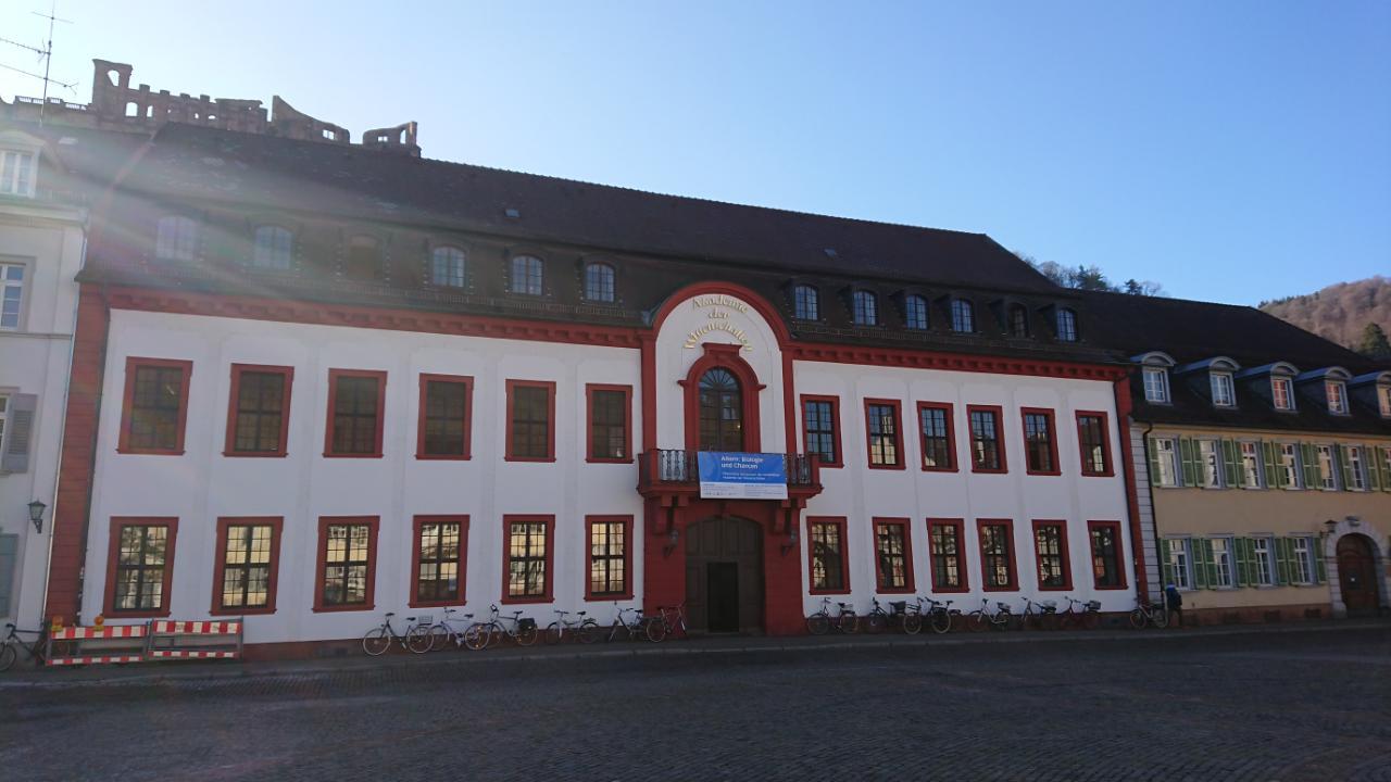 Großherzogliches Palais