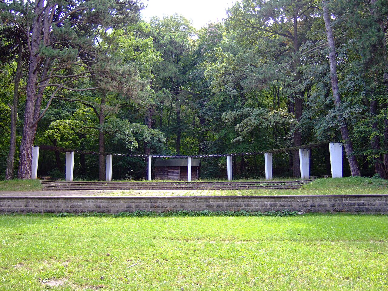 Wiese am Wachsenburgblick