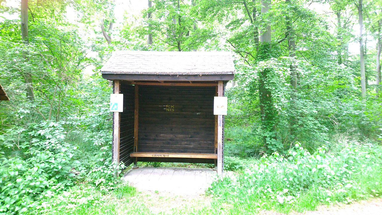 Waldrand im Erfurter Süden